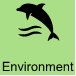 Environment icon
